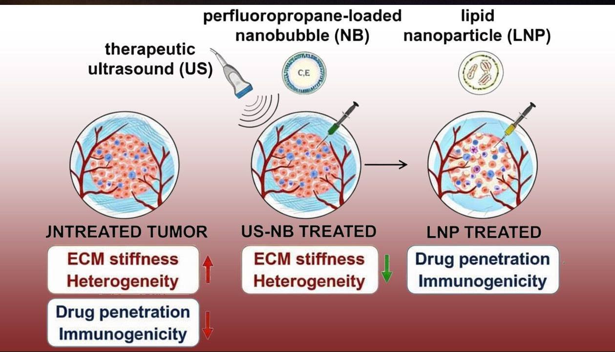 فروپاشی دژ نامرئی سرطان با فناوری نانوحباب