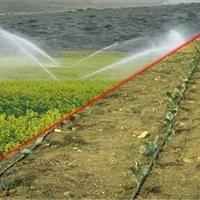 سهم سالانه ۳ هزار میلیاردی پروژههای آبیاری نوین از حمایتهای دولتی