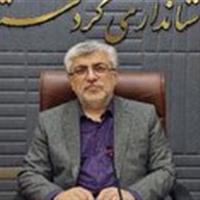 واحدهای معدنی ملزم به تکمیل زنجیره ارزش در استان هستند