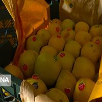 میوه شب عید استان مرکزی تامین شد
