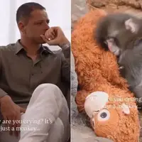 «پانچ» اشک چیچاریتو را درآورد!