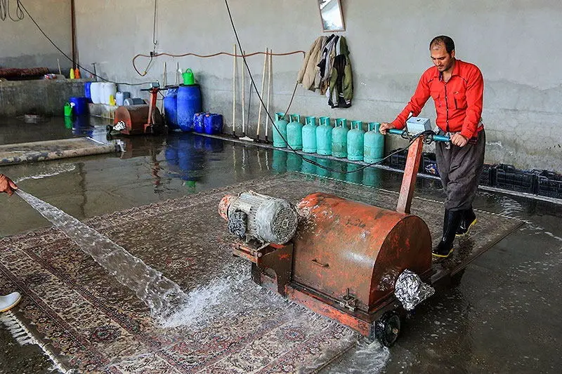 قالیشوییهای بوشهر هم گران کردند + نرخ