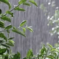 خوزستان در آستانه موج بارشی و تندباد