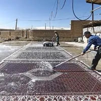 هشدار تعزیرات همدان به مردم؛ قالی را به واحدهای مجاز بسپارید!