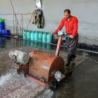 قالیشوییهای بوشهر هم گران کردند + نرخ