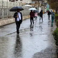 استان بوشهر بارانی میشود