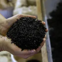 رشد ۱۰.۲ درصدی صادرات چای تا پایان دیماه