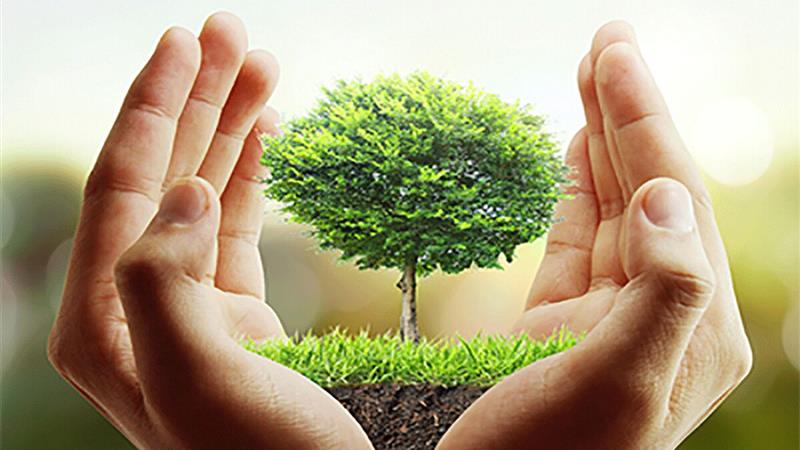 ایجاد ۴۴ خانه محیط زیست در زنجان/ گلهمندی از فقدان کارکرد آنها