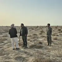 خروج ۷۰ نفر شتر از بستر تالاب هامون