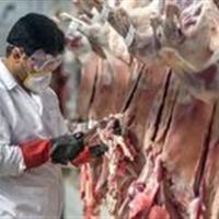 نظارتهای بهداشتی در کشتارگاههای طیور زنجان ادامه دارد