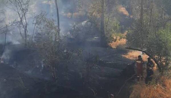 آتشسوزی باغی در محدوده بلوار چمران شیراز مهار شد