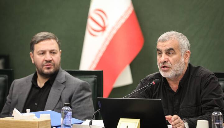 نیکزاد: اقدام نابخردانه دولت اوکراین بیجواب نخواهد ماند