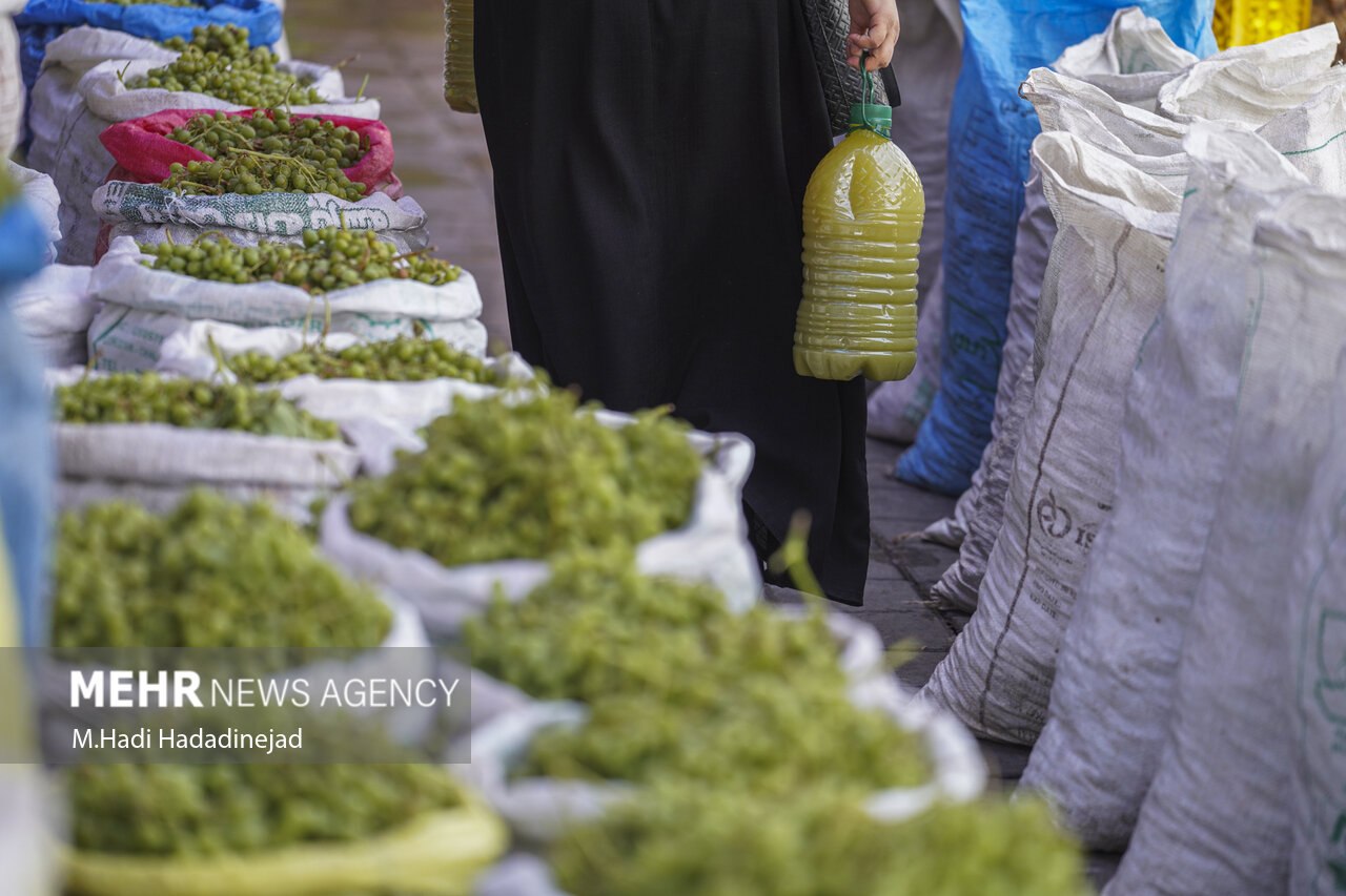 آبغورهگیری سنتی در شیراز