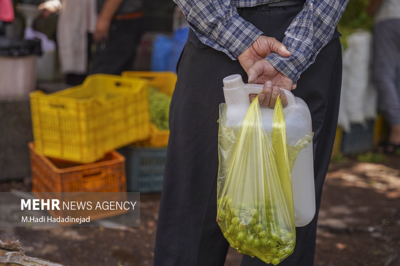 آبغورهگیری سنتی در شیراز