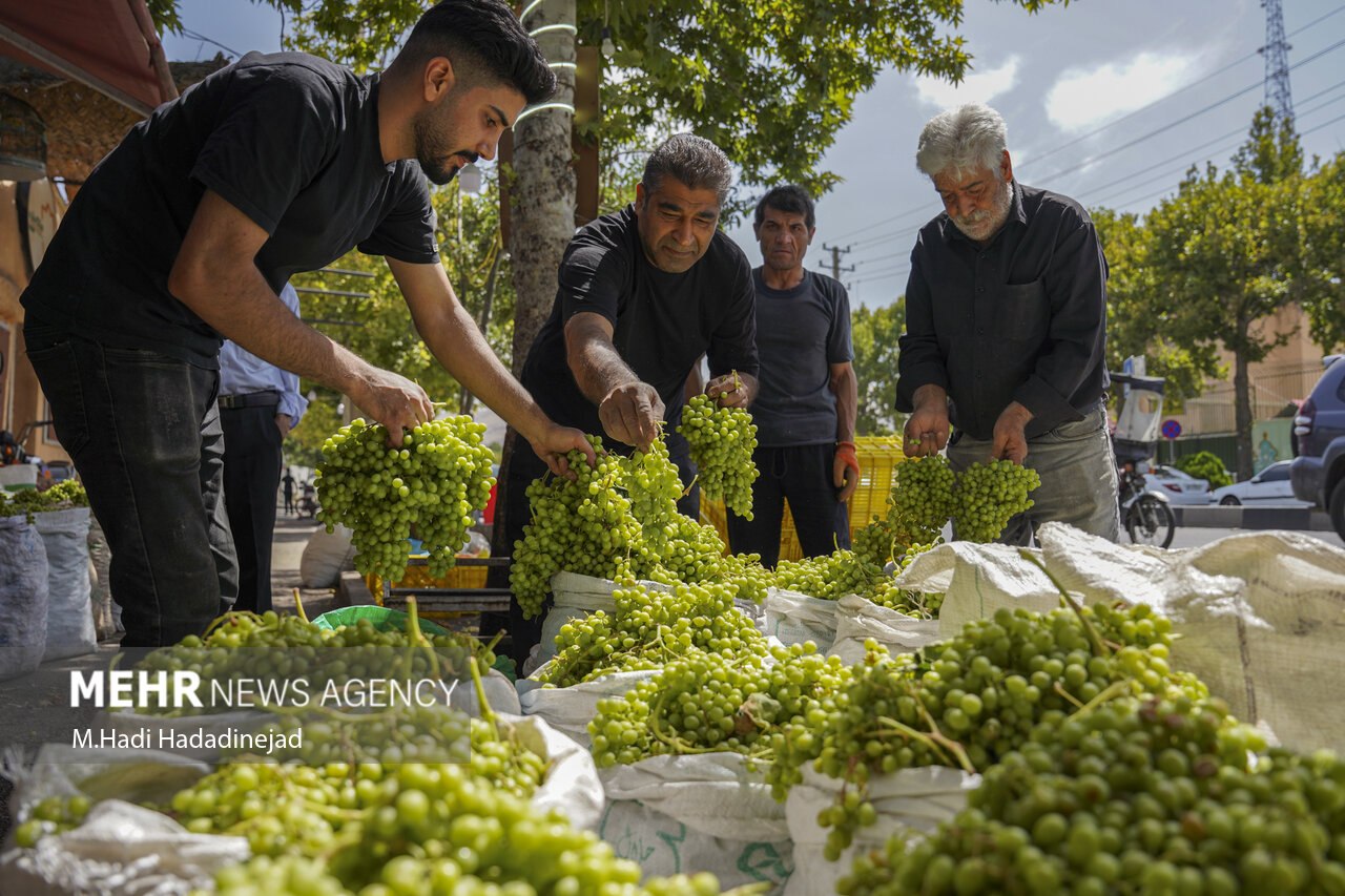 آبغورهگیری سنتی در شیراز
