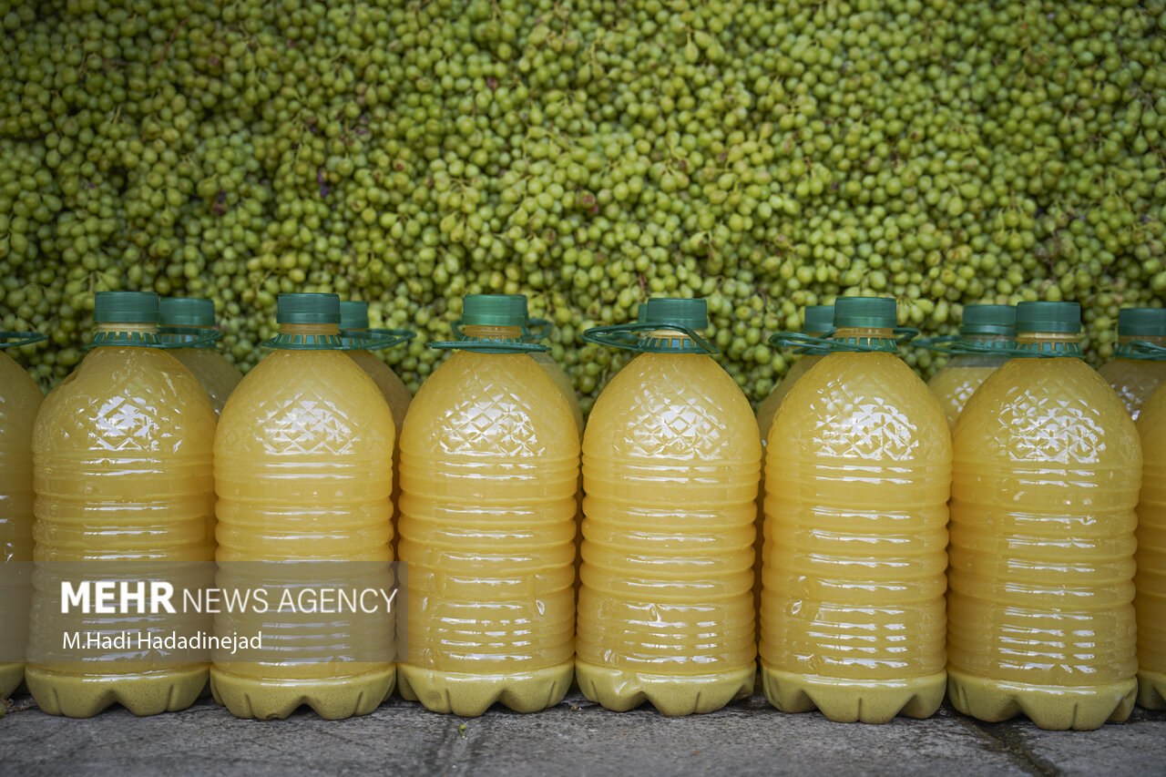 آبغورهگیری سنتی در شیراز