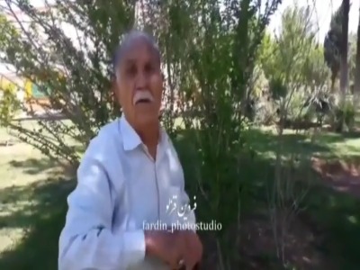 دشمنی ۳ ساله کلاغ با پیرمرد ایرانی!