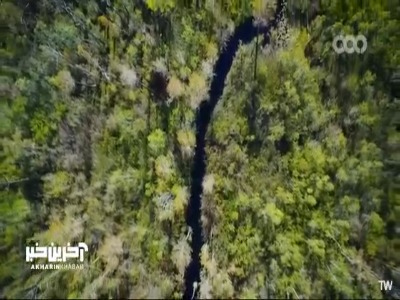 باران چگونه غار ها را تشکیل میدهد؟