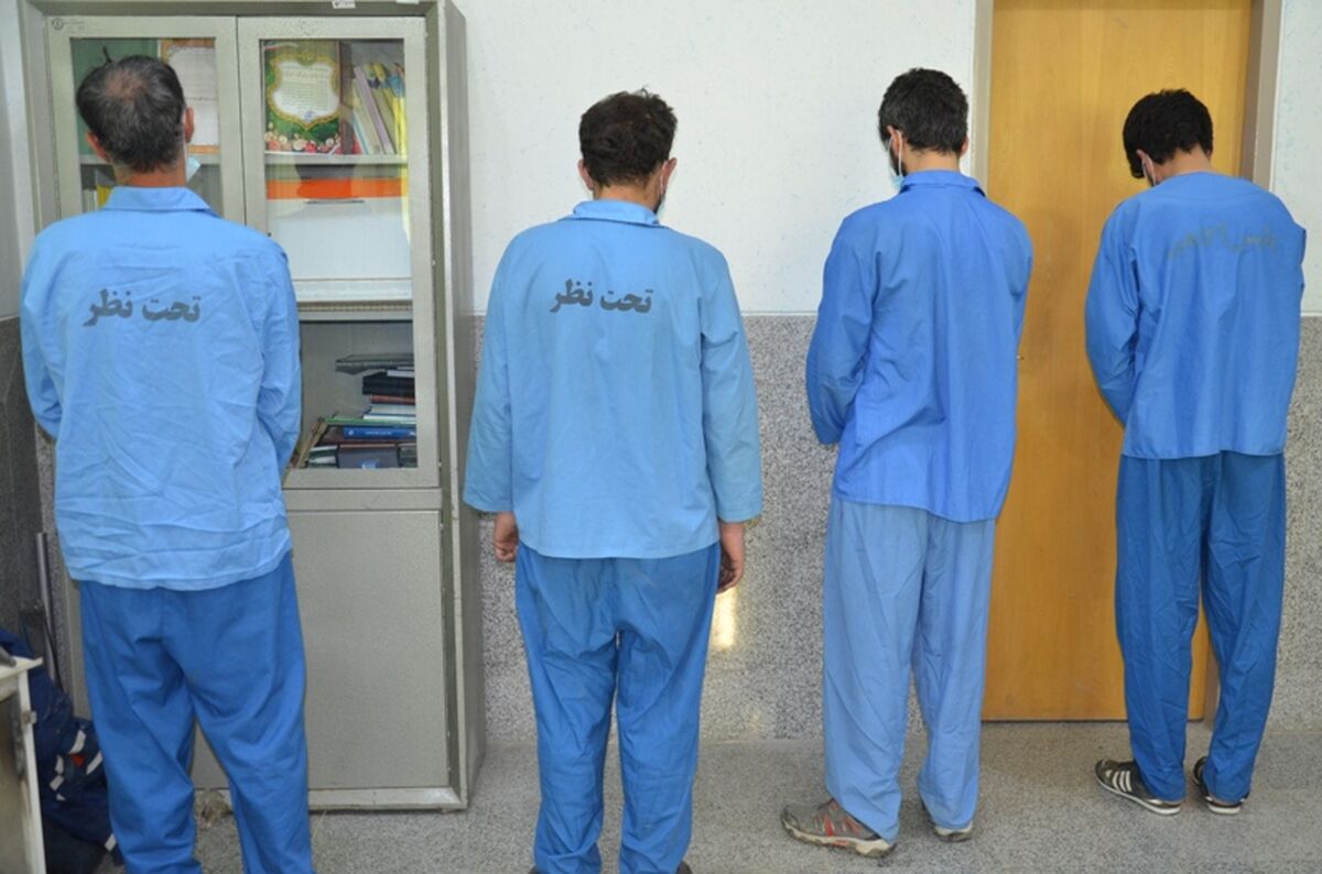۳۰ میلیارد تومان سرقت در پرونده باند دزدی از منازل
