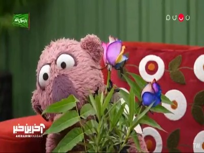 عمه اختر گلش رو داده به جناب خان؛ تو تاریخ خانواده این سابقه نداره!