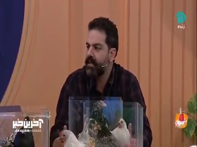 ۶۲ گونه مرغ زینتی ثبت شده است