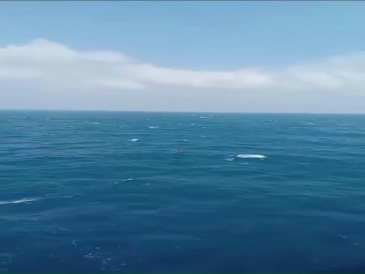 مفقود شدن 120 نفر طی حادثه غرق شدن کشتی در دریای جاوه