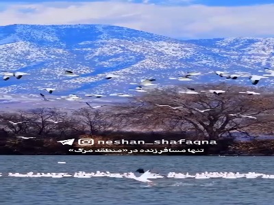 غاز قهرمان منطقه مرگ
