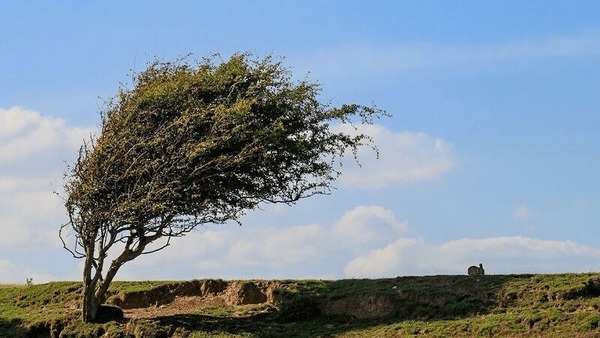 باد عصرگاهی در راه همدان