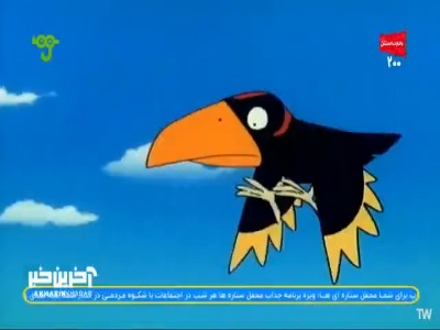راهزن ها دارن میان!