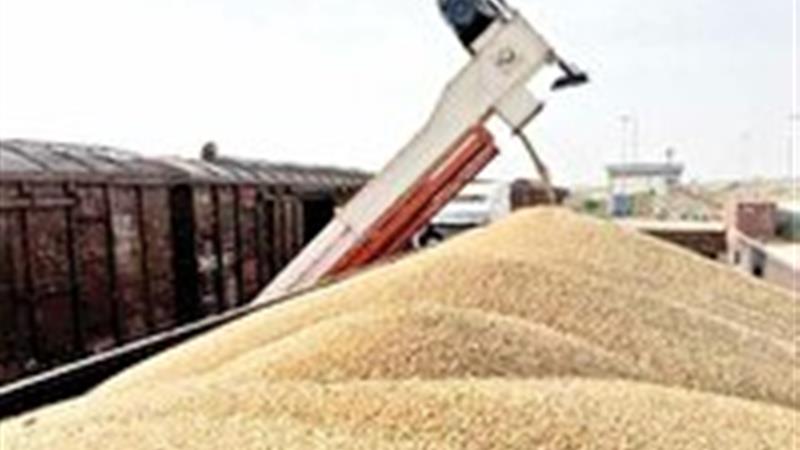 افزایش ۱۰ برابری واردات نهادههای کشاورزی از مرزهای آذربایجان غربی