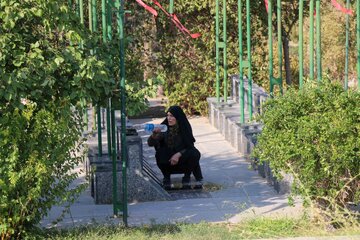 عکس/ آیین ملی مهمانی لالهها - گلزار شهدای همدان
