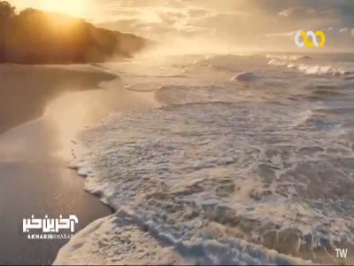 بزرگترین اجتماع میلیونی لاکپشت ها