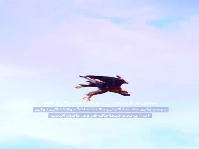 مهار تصادف آسمانی