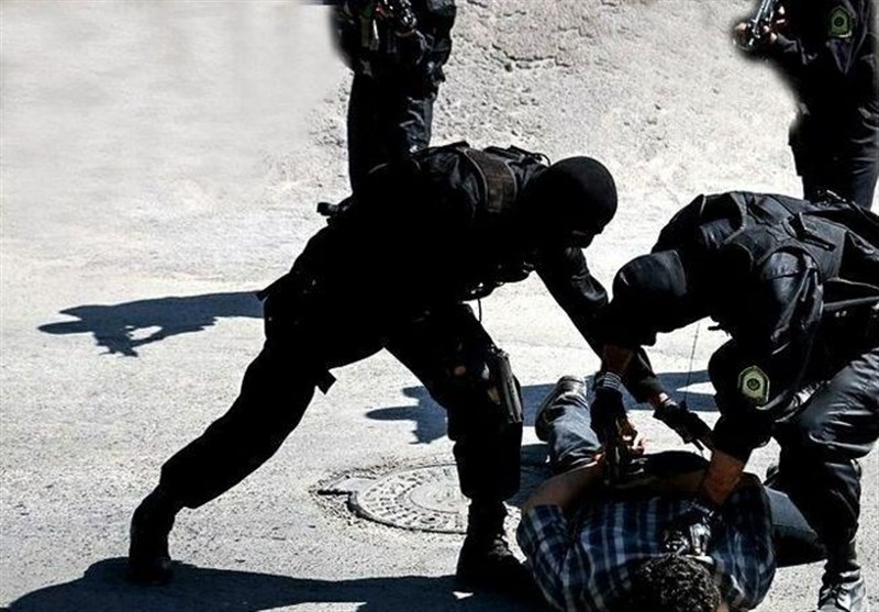 سرکرده سارقان مسلح در هیرمند به دام پلیس افتاد