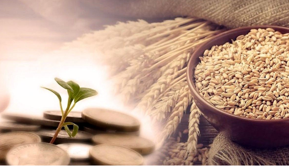 زکات پرداختی آذربایجانغربی ۳۷ درصد رشد کرد؛ جمعآوری ۱۷۴ میلیارد تومان