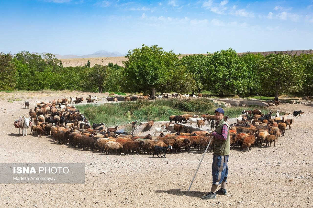 «برزنون» روستایی در دامنه کوه اردلان