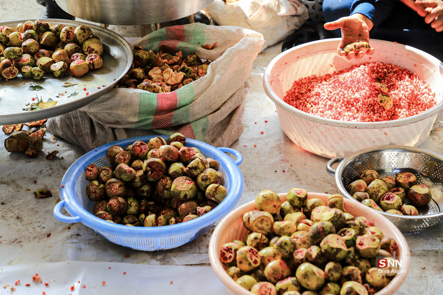 رسم «اِنار دِله کانی» در روستای بالاجاده کردکوی
