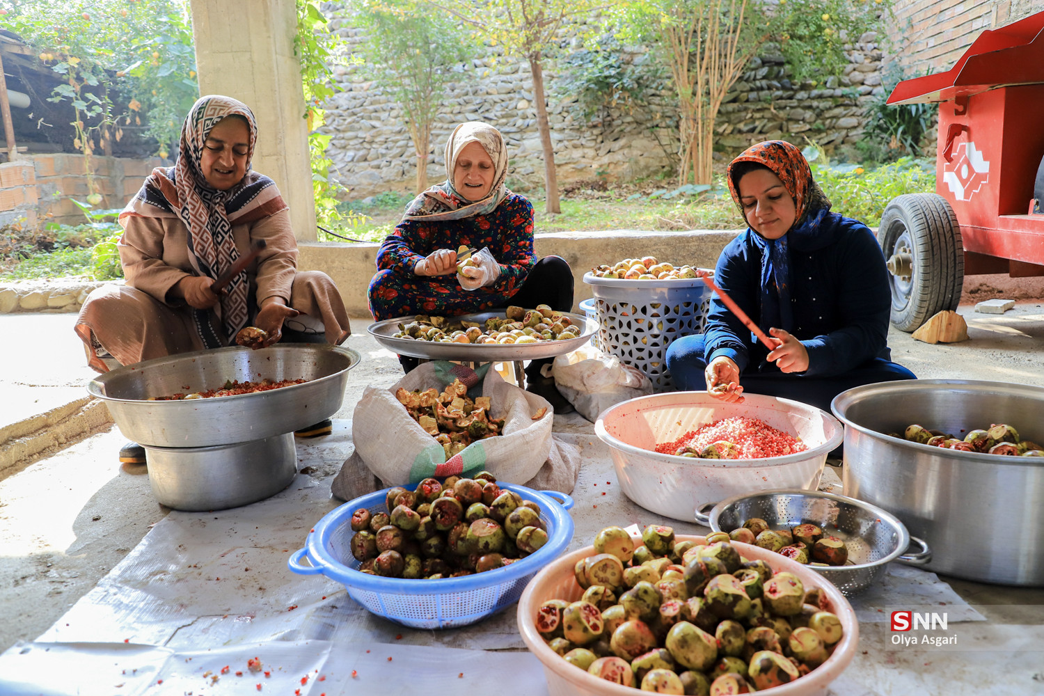 رسم «اِنار دِله کانی» در روستای بالاجاده کردکوی