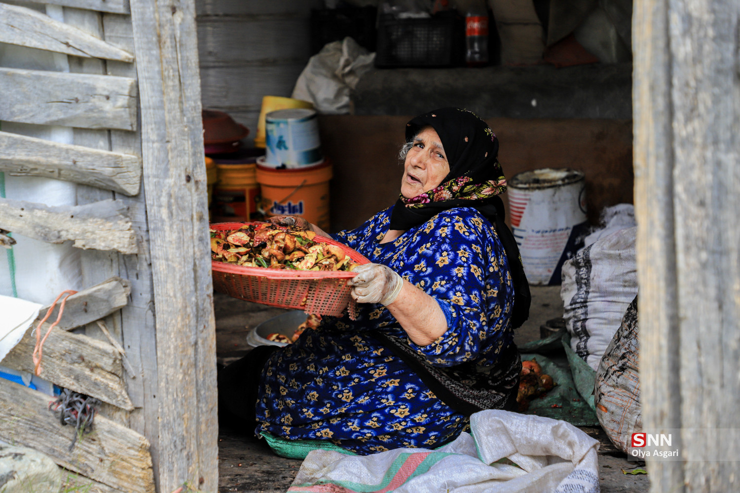 رسم «اِنار دِله کانی» در روستای بالاجاده کردکوی