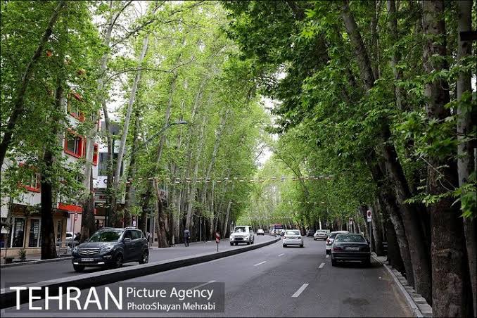 عکس زیر خاکی از خیابان ولیعصر تهران وقتی چنارها هنوز کوچک بودند