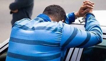کشف ۳۱۷ فقره سرقت و دستگیری ۱۱۴ سارق در همدان